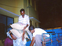 UNLOADING RICE BAGS